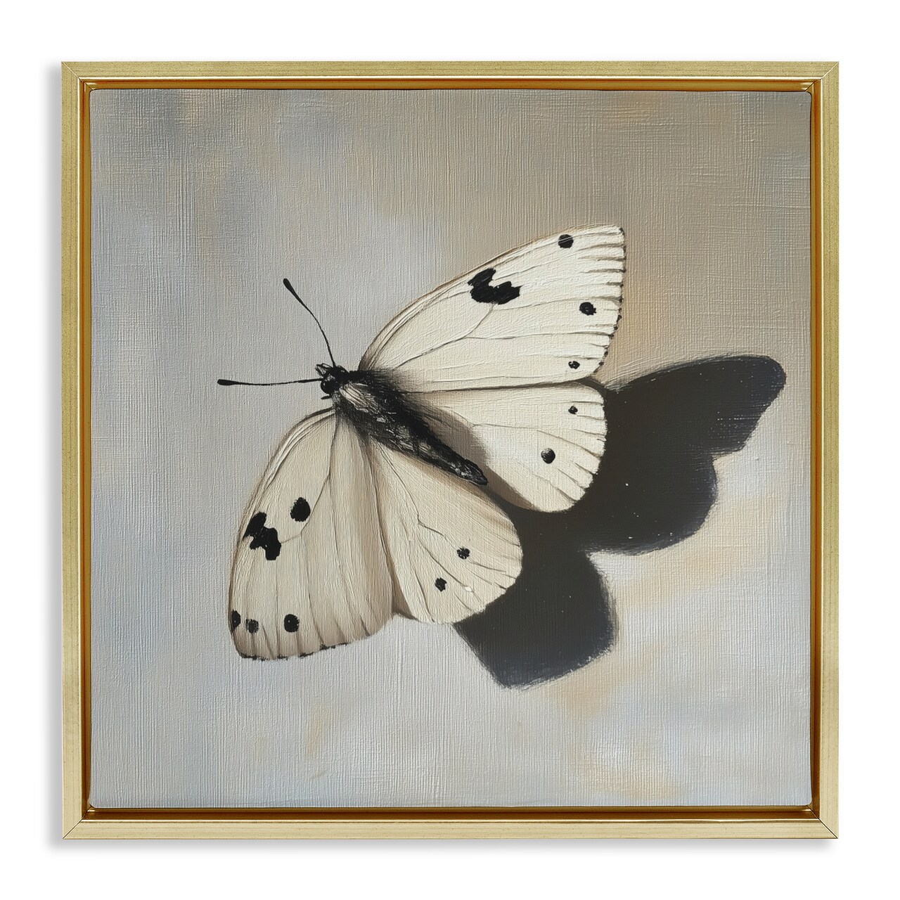 Stupell Industries Velvet's Butterfly Wings Floating Frame, design by Svetlana Aleynikova